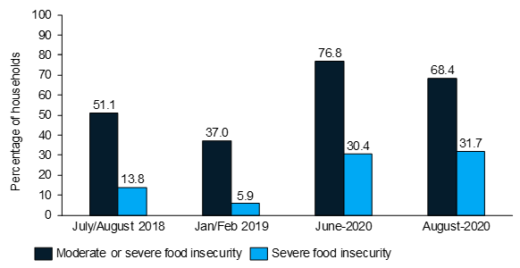 Households Food Insecurity Experience